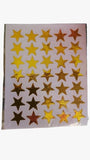 Star Sticker [MS]