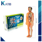 3D Anatomical Assembly Model of Human Skeleton Educational Learning[PD][1Pc]