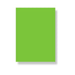 Hard Chart Paper Light Green 26 x 20 [PD][1Pc]