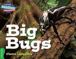 CAMBRIDGE READING ADVENTURES: GREEN BAND: BIG BUGS (NOC)