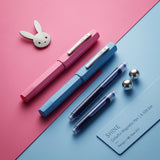 Pack of Two Fancy Fountain Pen with 2 Cartridges [PD] [1Pc]