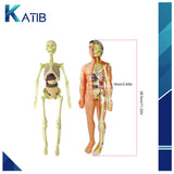 3D Anatomical Assembly Model of Human Skeleton Educational Learning[PD][1Pc]