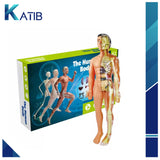 3D Anatomical Assembly Model of Human Skeleton Educational Learning[PD][1Pc]