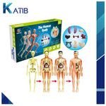 3D Anatomical Assembly Model of Human Skeleton Educational Learning[PD][1Pc]