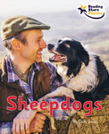 Sheepdogs [PD]