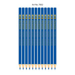 Picasso Checking Pencils Blue [IS][1Pack]