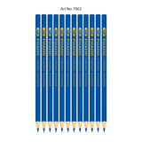 Picasso Checking Pencils Blue [IS][1Pack]