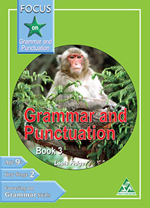 Focus on Grammar & Punctuation Book 3