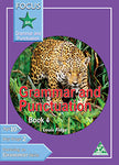 Focus on Grammar & Punctuation Book 4