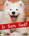 Is Sam Sad? [IP]