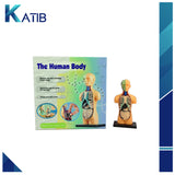 Anatomy Model Human Body[PD][1Pc]