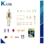 3D Anatomical Assembly Model of Human Skeleton Educational Learning[PD][1Pc]