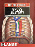 THE BIG PICTURE: GROSS ANATOMY