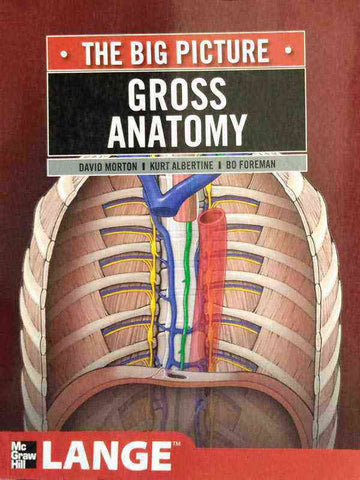 THE BIG PICTURE: GROSS ANATOMY