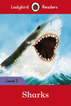 LADYBIRD READERS: LEVEL-3 SHARKS