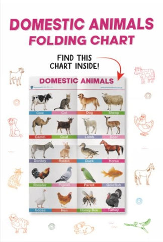 PARAMOUNT DOMESTIC ANIMALS FOLDING CHART