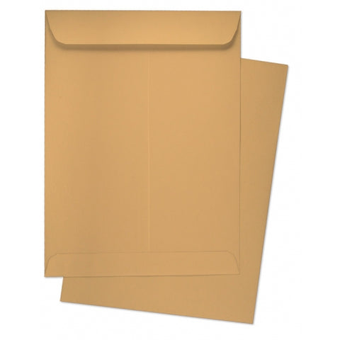 Brown Envelope A4 100g [IP][1Pc]